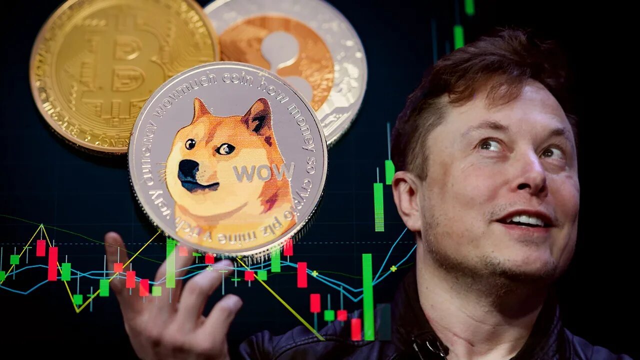 Маск догикоин. Dogecoin. Mask usdt. Маск коин. Маск коин.