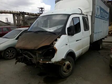 Газель после