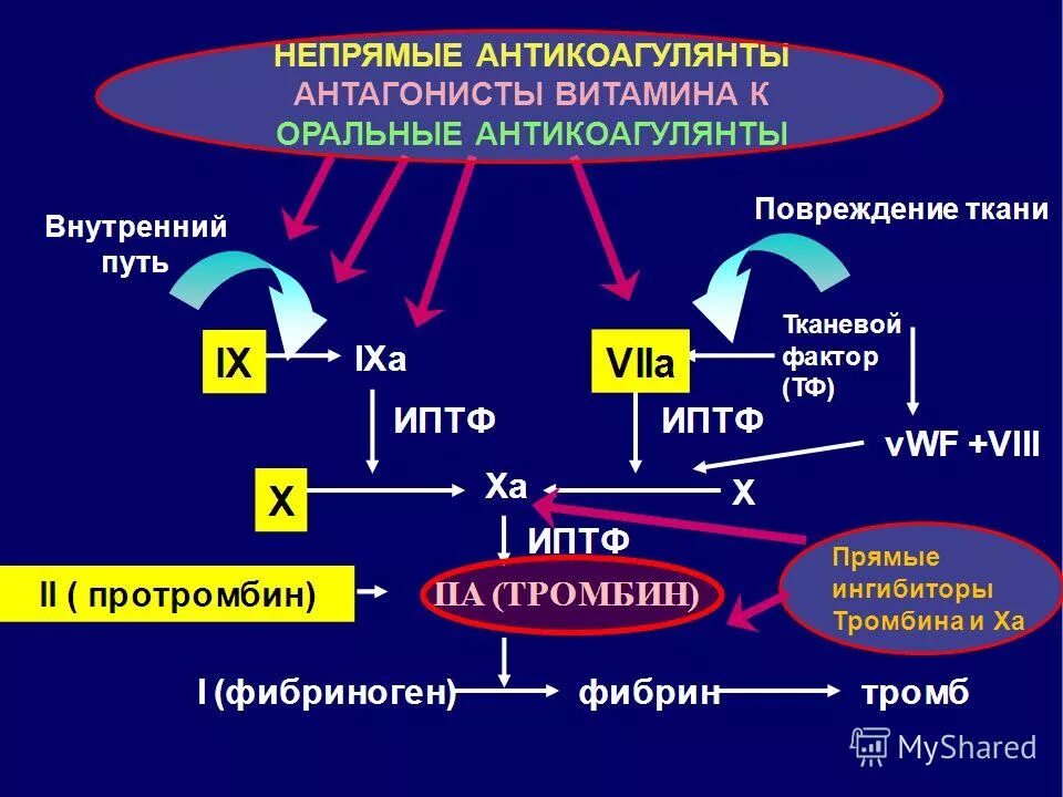 Витамины растворимые в жирах. Прямые и непрямые антикоагулянты. Антикоагулянты классификация таблица. Ингибиторы витаминов. Прямые антикоагулянты препараты.