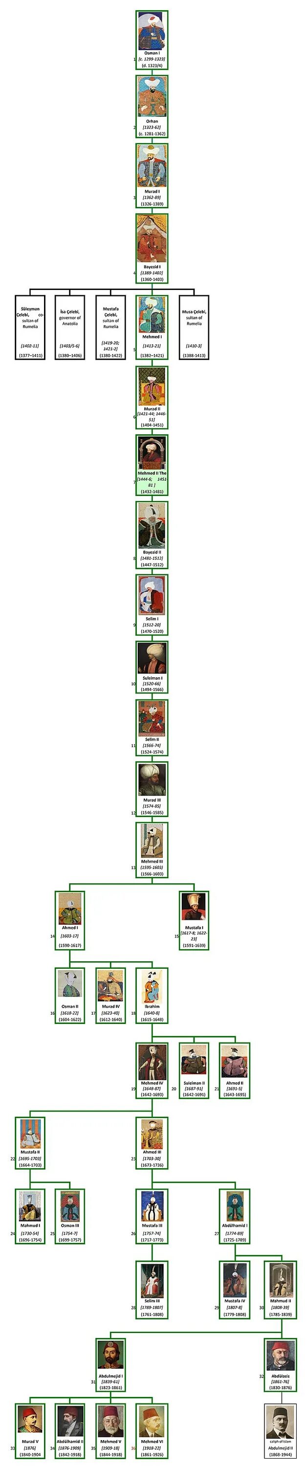 Султаны Османской империи Древо. Династия Османов генеалогическое Древо. Родословная Султанов Османской империи. Семейное Древо османских Султанов.