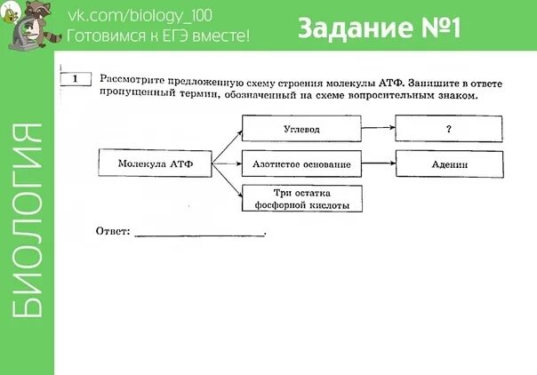 Задание 1 биология