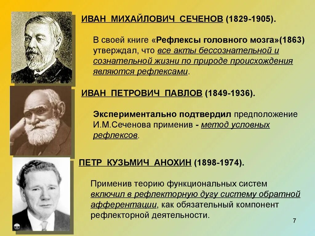 Сеченов учение о рефлексах. Рефлекторная теория и. м. сеченова.. рефлекторный принцип деятельности цнс физиология. рефлекторный принцип работы цнс физиология.