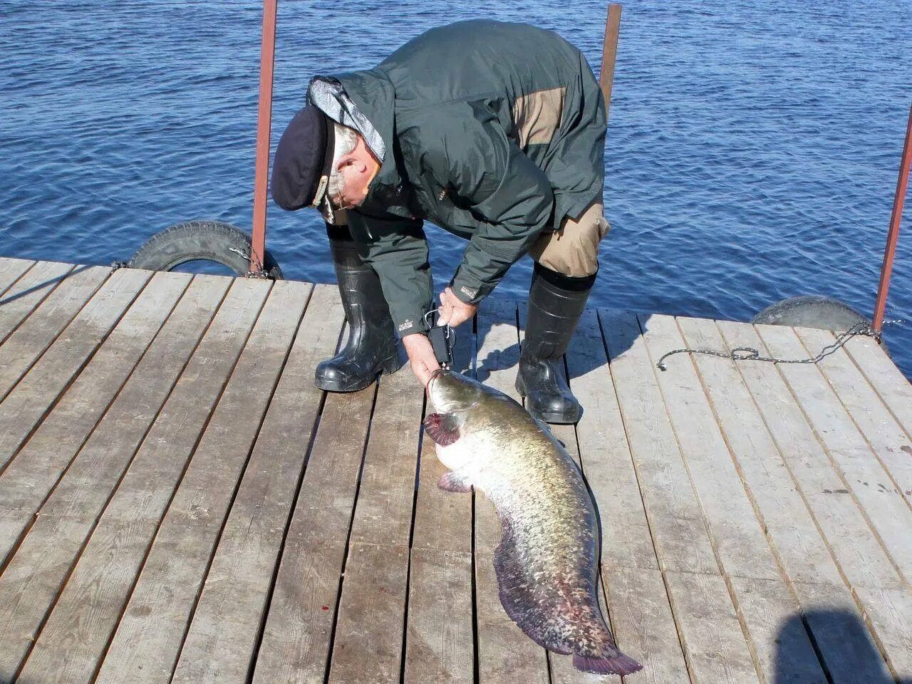 русфишинг. рыбная ловля в выборге. рыбалка в петровском пруду. Molamola русфишинг. рыба верный малокаст.