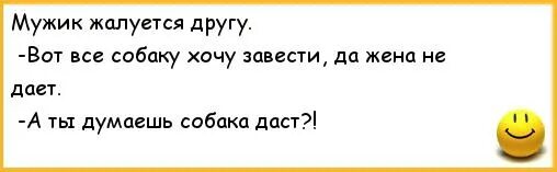 Шутку хочу сказать. Хочу собаку завести жена не дает. Собаку хочу жена не даёт. Хочу завести собаку. Жена не хочет заводить собаку.