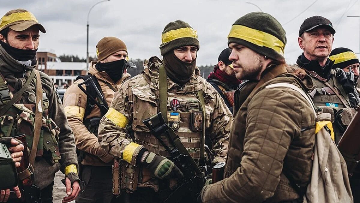 Боевые националисты. Боевые националисты