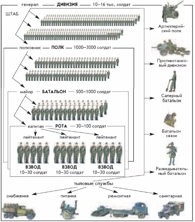 Число военных. Рота батарея батальон полк взвод. Рота батальон полк дивизия армия численность. Отделение взвод рота батальон полк бригада дивизия корпус армия. Бригада батальон дивизия численность.