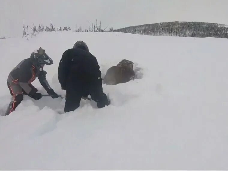 девушка на снегоходе. замерзли на снегоходах.