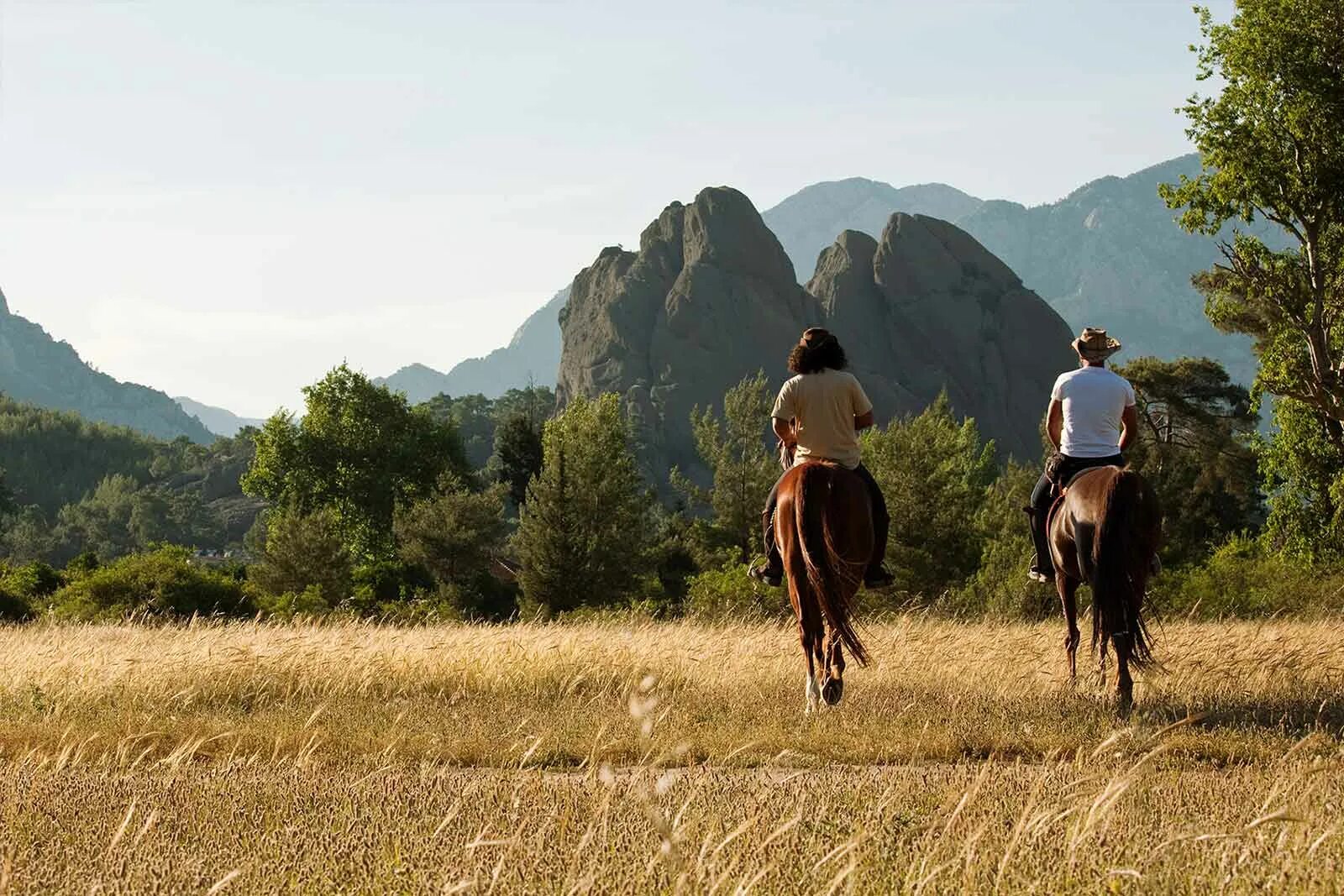 Reiten. Кейптаун пляж лошади белые прогулка. Horseback riding. Riding holidays. Экскурсии по горам иссык куля.
