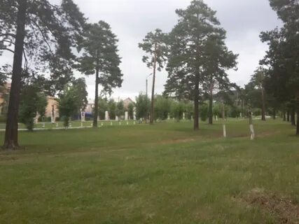Сибво
