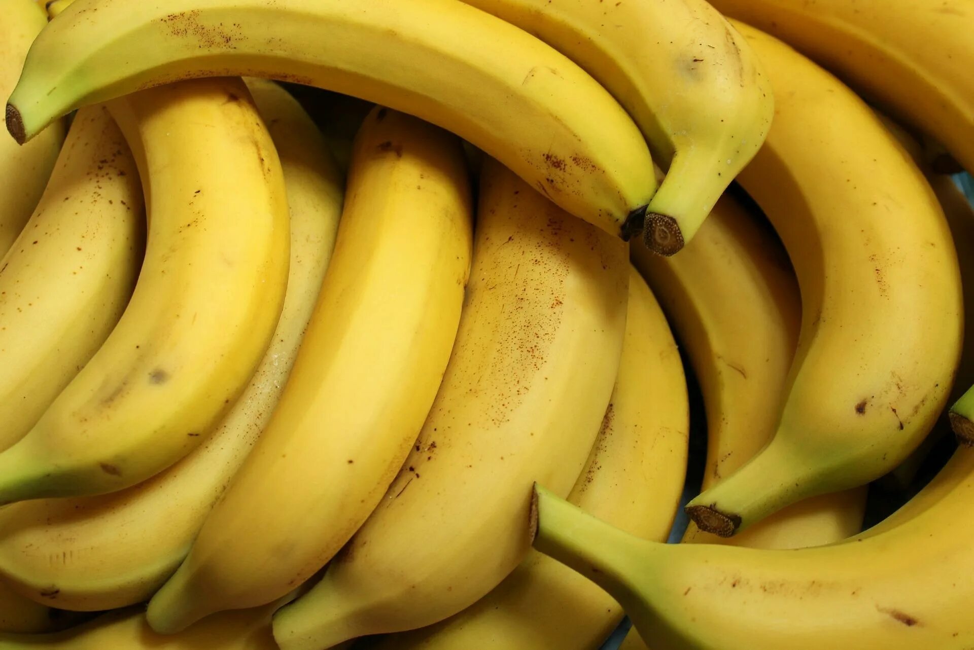 Банан. Круглый банан. Банановый цвет. Поставщик бананов.