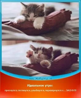 Проснулся утром улыбнись песня