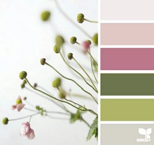 Pin by Daniela Costa on Cantos e Recantos Living room colors, Living room color 