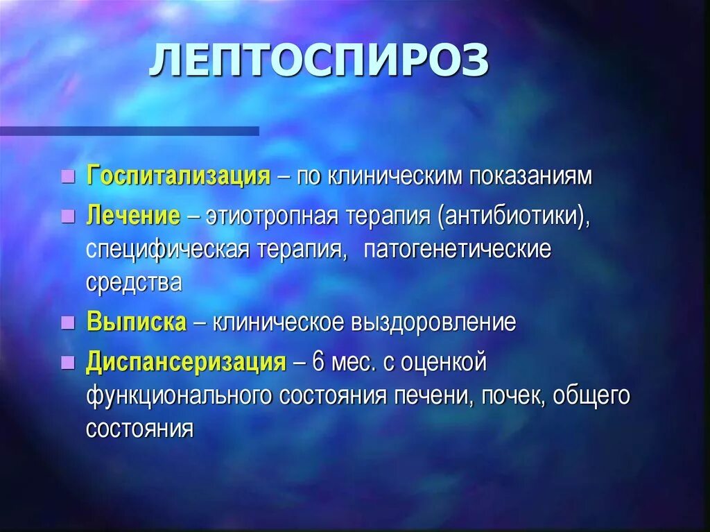 Лечение лептоспироза у людей. Лептоспироз госпитализация. Этиотропная терапия лептоспироза. Клинические синдромы лептоспироза.