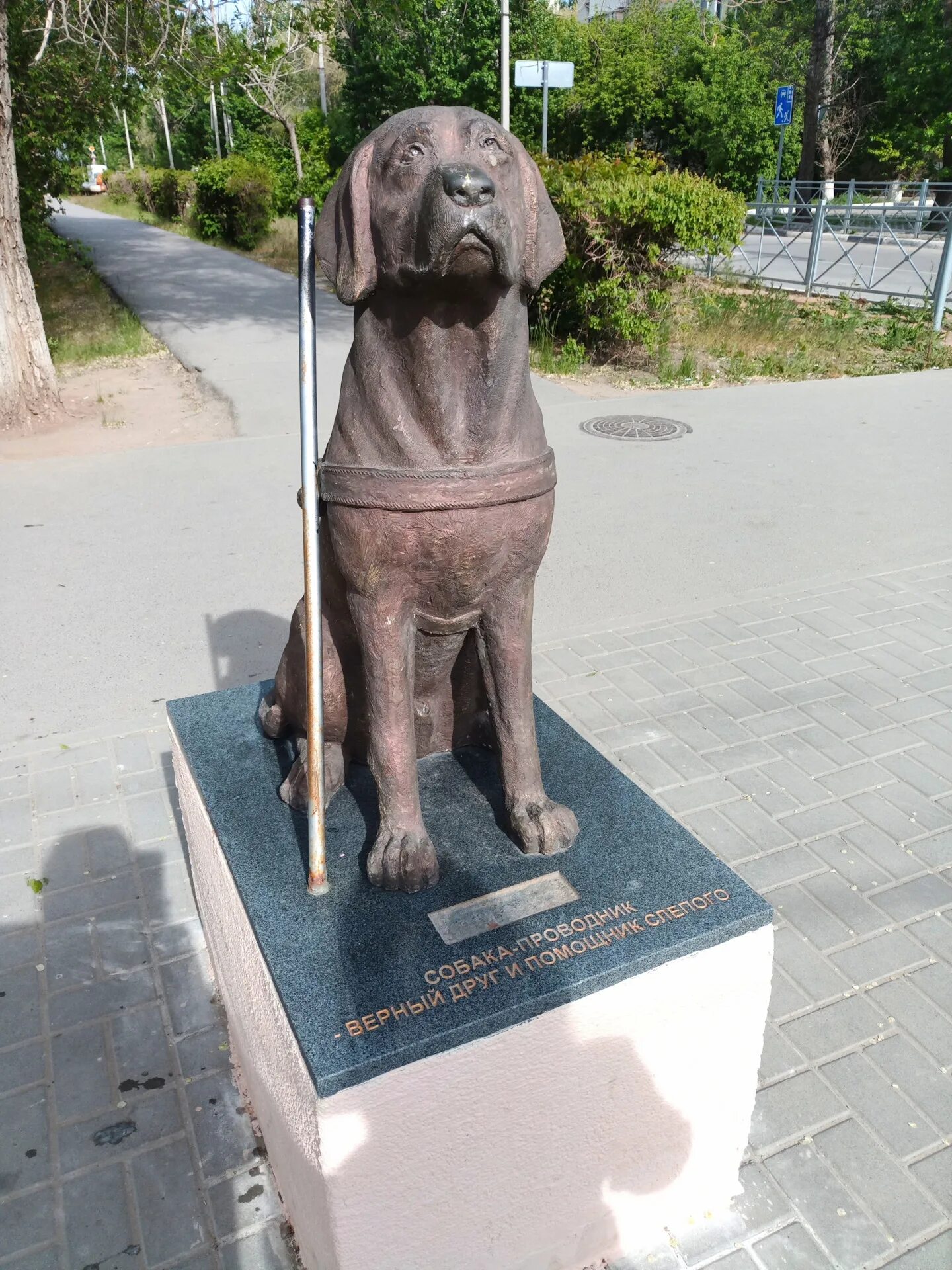Памятник собаке спасателю в перми. Памятник собаке в барнауле. Хатико тольятти памятник собаке. Памятник собаке дойре. Памятник собаке в барнауле.