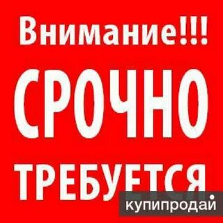 Энергичной попаданке требуется работа