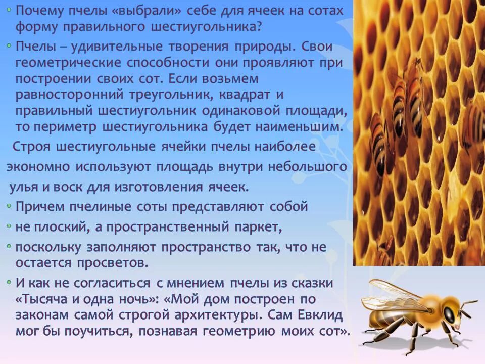 Как собирать сота