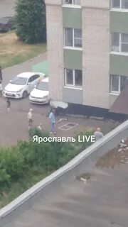 Выпал сын