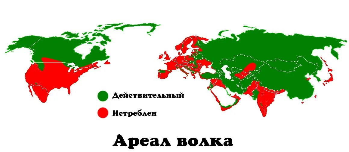 Ареал обитания Волков в России. Canis Lupus ареал. Ареал обитания Волков в мире. Ареал распространения волка. Ареал voices of the