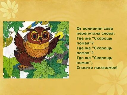 Перепутала текст