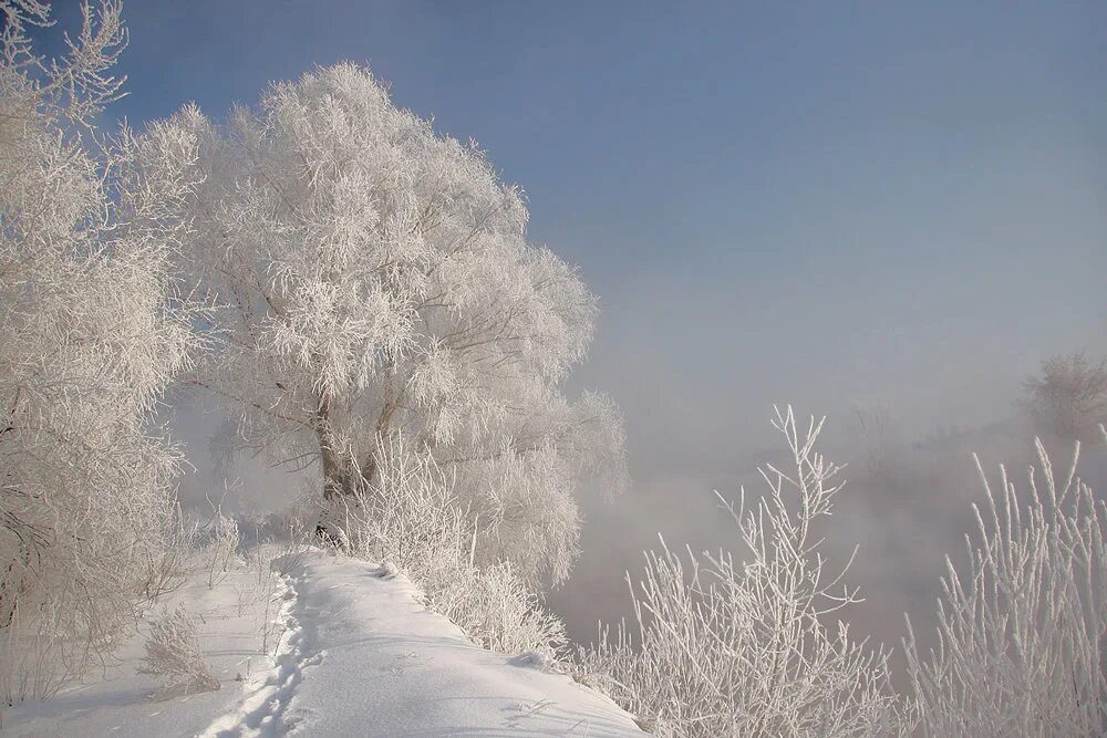 над свежим снегом. снег. над свежим снегом. над свежим снегом. над свежим снегом.