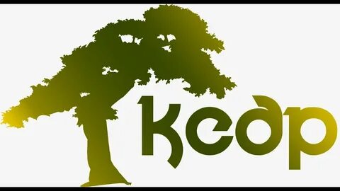 Фирма кедр