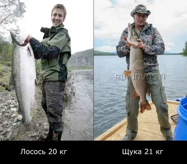 Весит 21