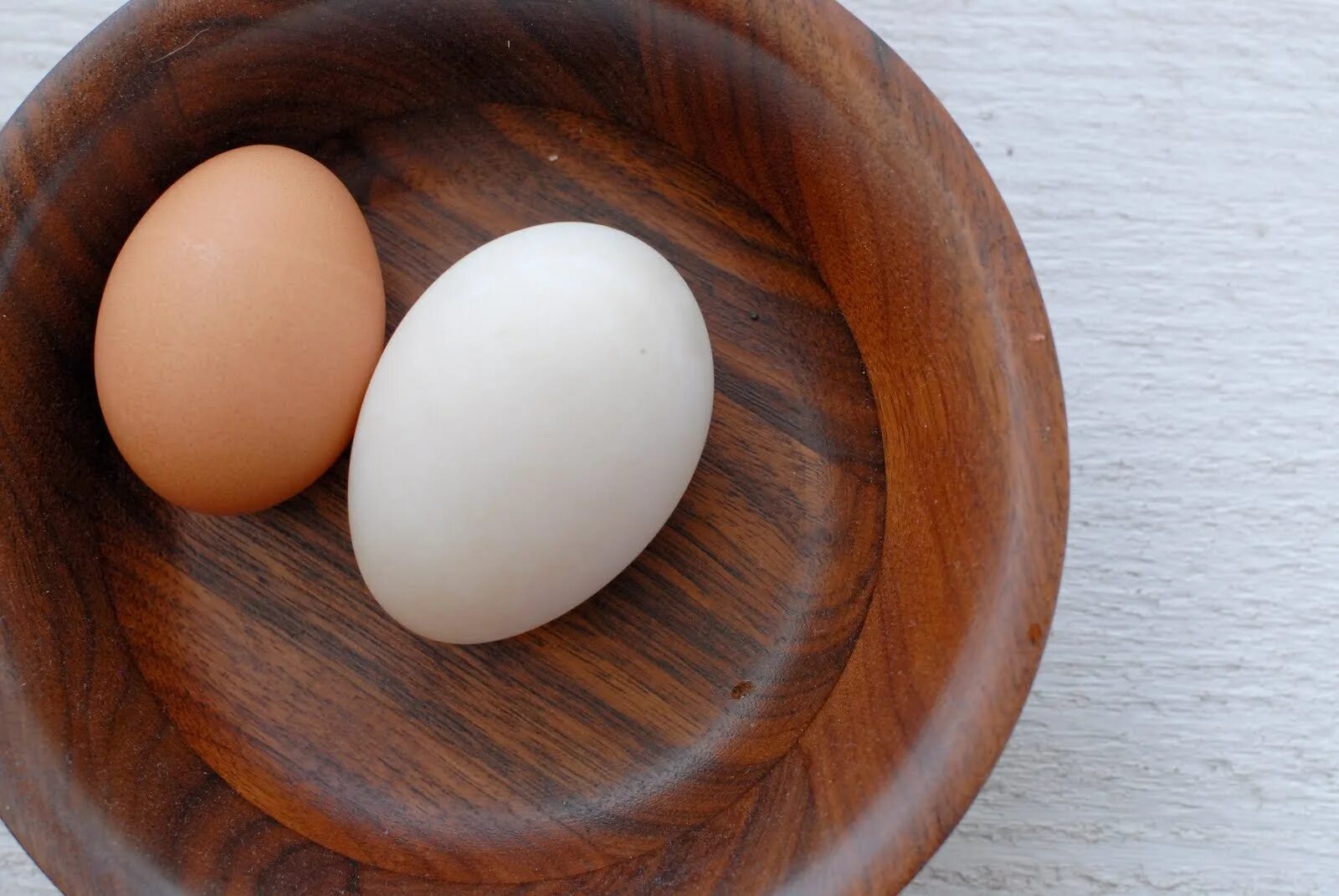 Egg как получить яйцо. Утиные яйца. яйцо утки. яйца домашней утки. яйца кряквы.