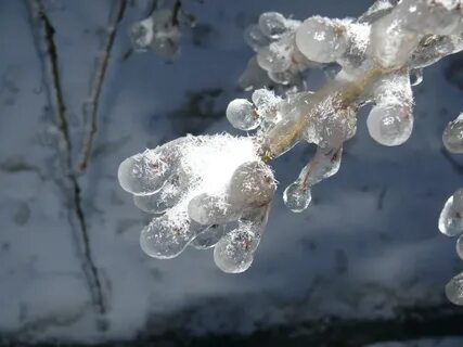 Ледяную проверочное