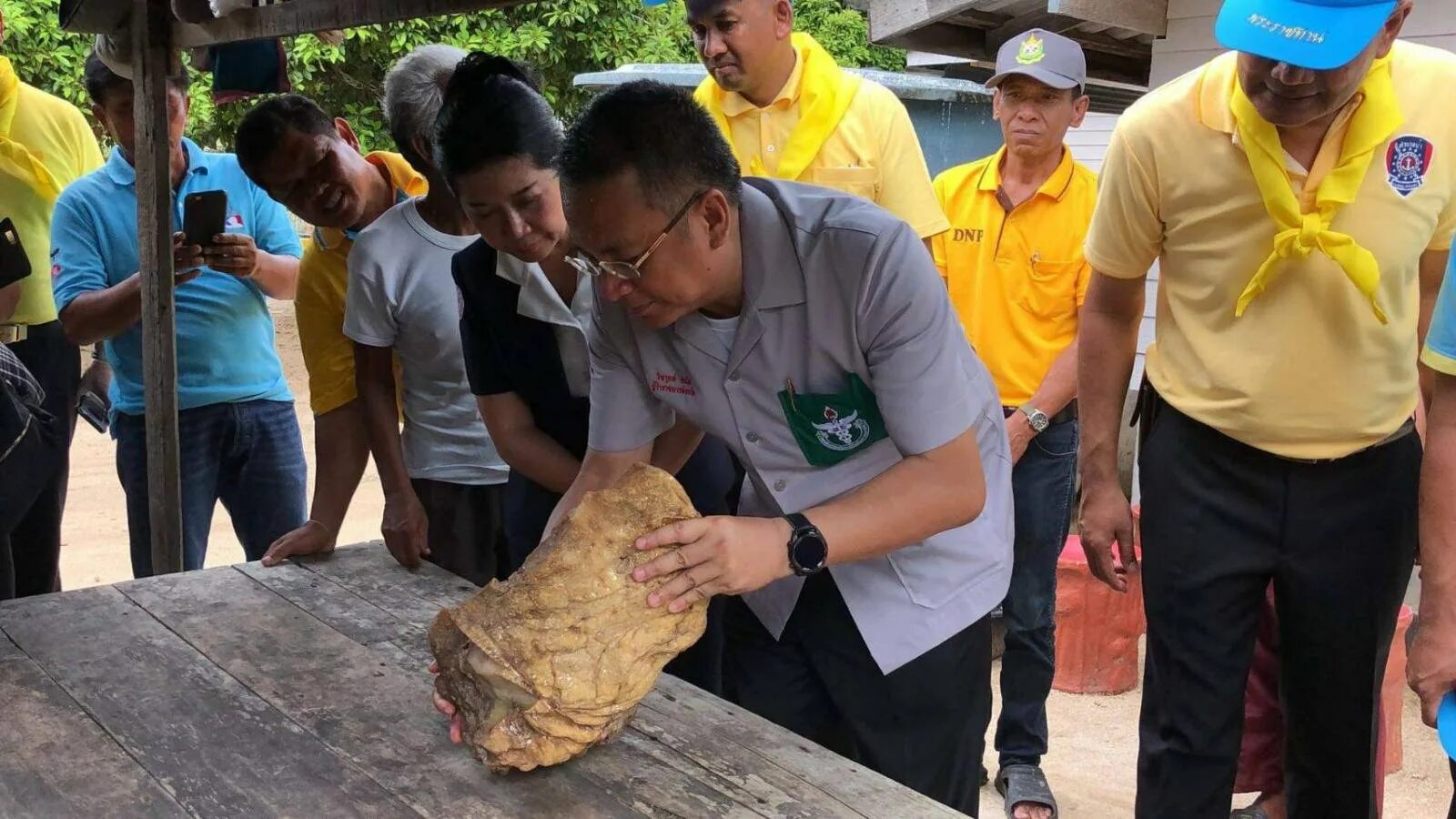 Вырвало кита. Вырвало кита. Вырвало кита. Вырвало кита. Вырвало кита.