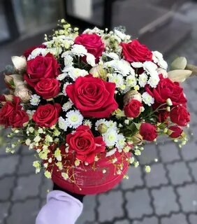 Розы иркутск