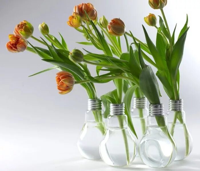 Сколько воды наливать тюльпанам в вазе. Лампочка вазочка. Мини вазочки. Необычные вазы для цветов. Ваза из лампочки.