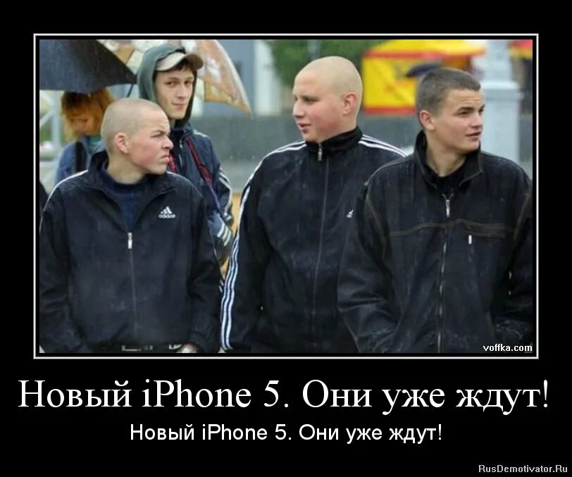 где сейчас настоящий адидас из группировки. слоновская опг рязань ермолов. где сейчас настоящий адидас из группировки. где сейчас настоящий адидас из группировки. гопник в абибасе.