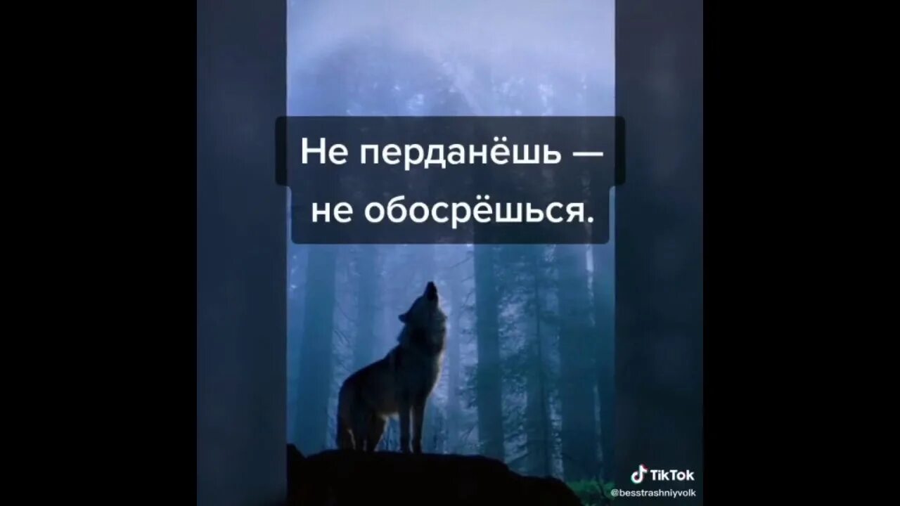 Безумно можно быть мем. Цитаты волка. безумно можно быть первым волк фото. безумно можно быть первым картинка с волком. безумно можно быть первым цитаты волка.
