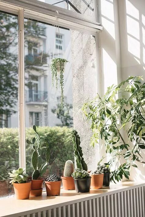 Comment décorer les rebords de fenêtres ? - Elle Décoration Rebord de fenêtre, D