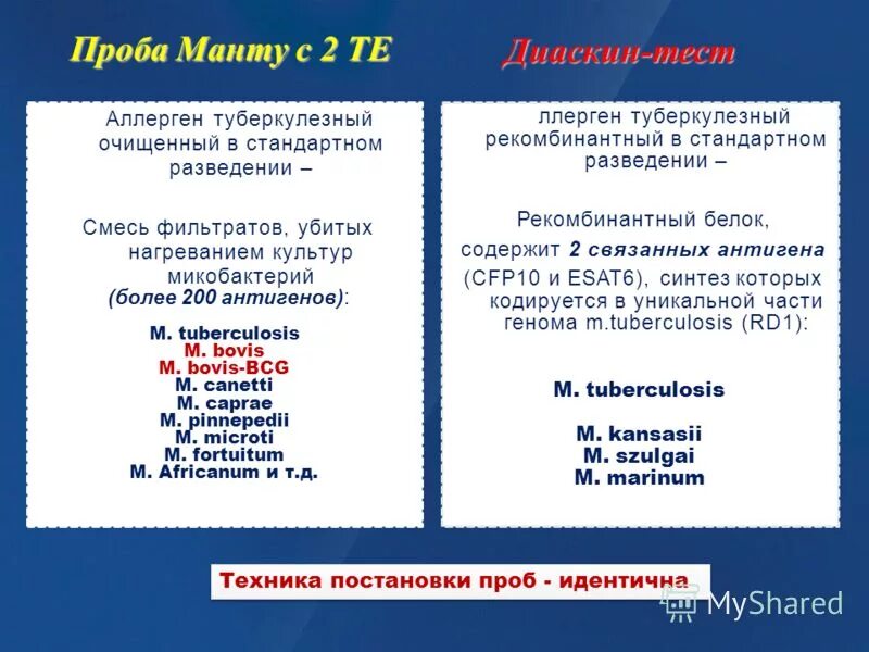 Аллерген рекомбинантный. Интерпретация пробы манту фтизиатрия. Препарат для проведения пробы манту.