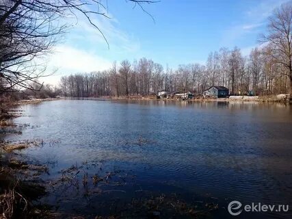 Ижора ленинградская область