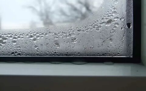 Запотевают окна между стеклами что делать