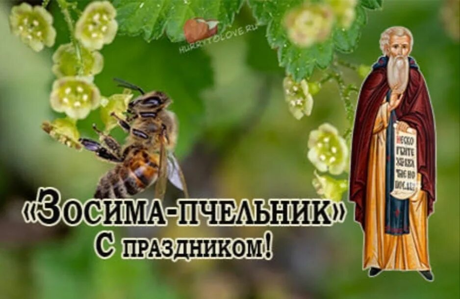 Савватий пчельник картинки. Савватий пчельник 10 октября. День пчельников. День пчельников. Праздник пчел.