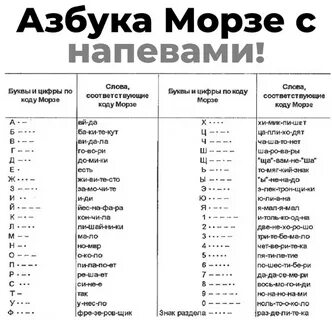 Хомяк морзе 9 10