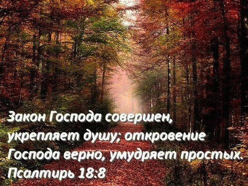 Усилить душу. Закон Господа совершен укрепляет душу. Закон Господа совершен укрепляет душу Откровение Господа. Умудряет простых закон Господа. Господь совершит.