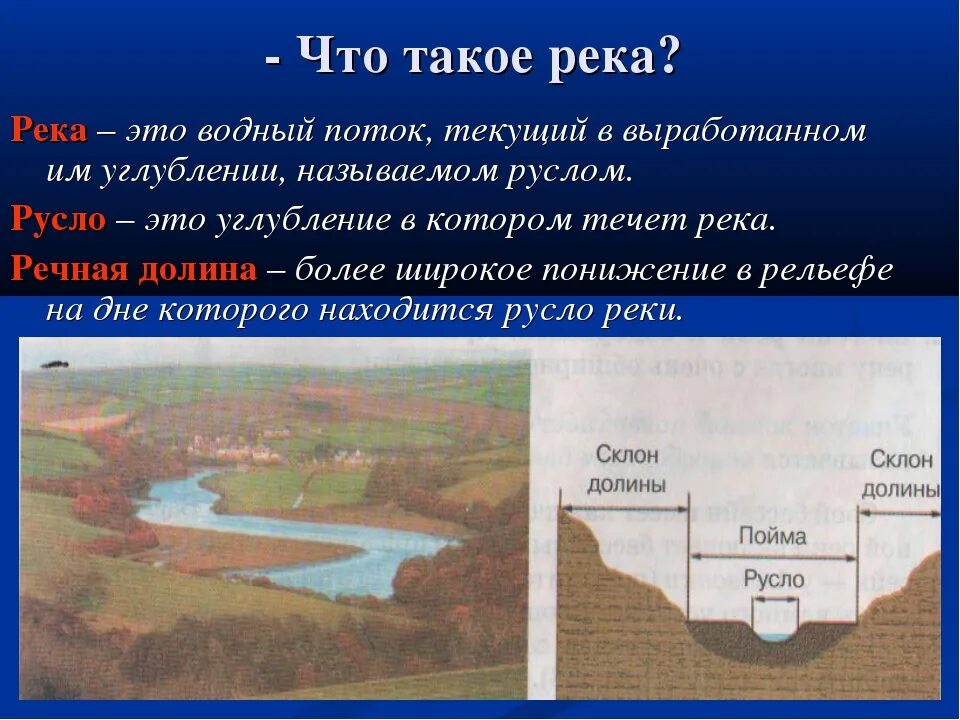 Пойма что это такое. Русло Пойма Речная Долина. Строение реки русло Пойма. Речная Долина Долина реки. Русло реки Пойма Речная Долина.