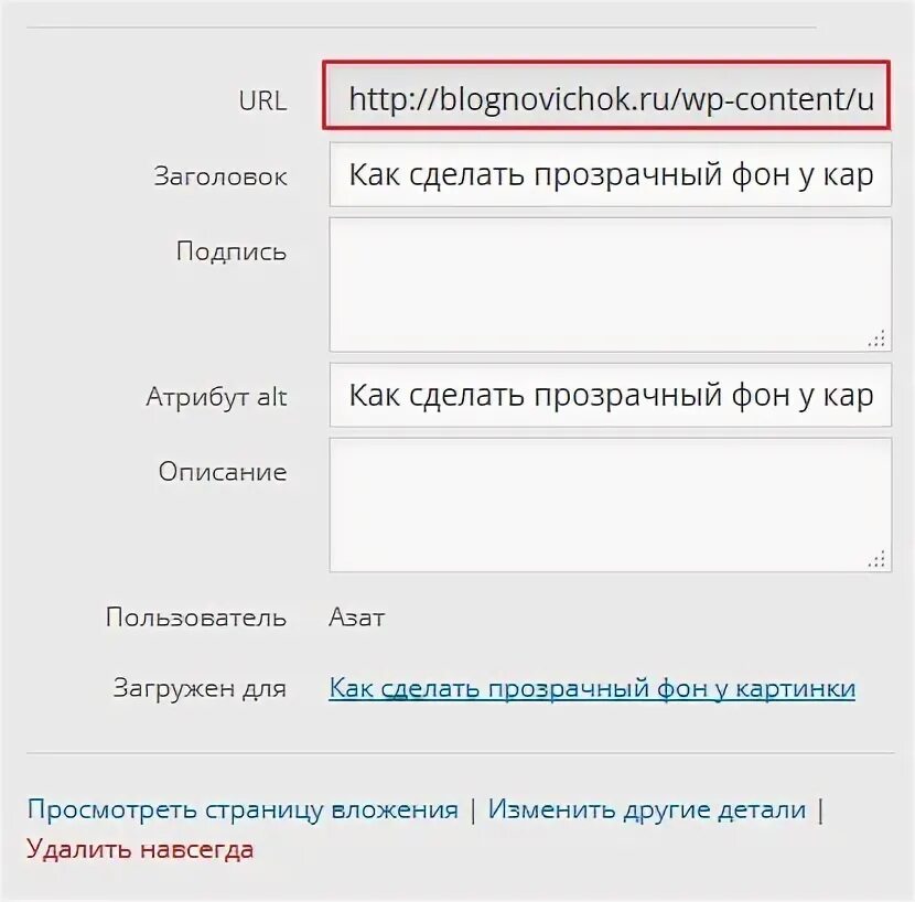 Как создать url. Как сделать урл ссылку. url фото ссылка. укажите, пожалуйста, корректный url. разбор url.