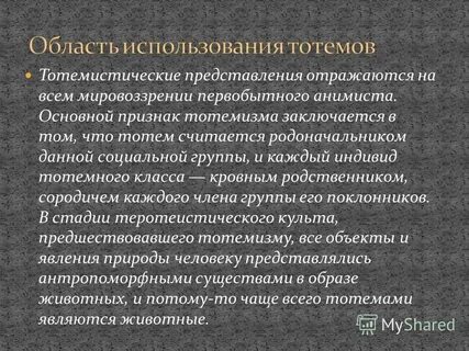 Представления отражают