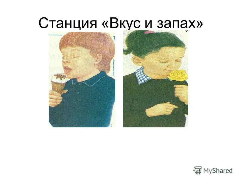 Ем и ничего не чувствую
