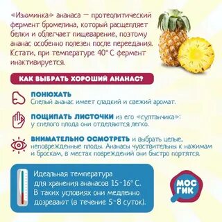 Ананас можно есть при беременности
