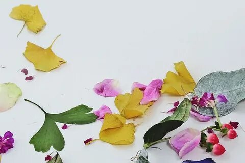 Цветы и лепестки листья