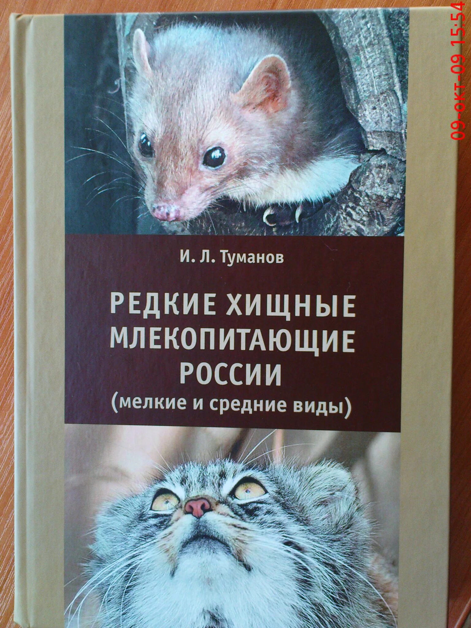 Книга млекопитающие россии. Редкие млекопитающие России. Млекопитающие России список. Хищные млекопитающие СССР книга.