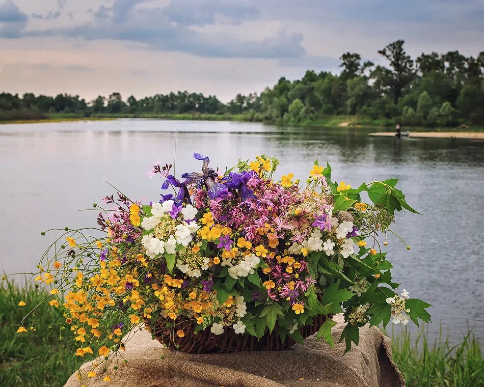 гипсофила knuddel. цветы природа букет красный. цветы букет природа красный зеленый. букет цветов на фоне природы. букет полевых цветов.