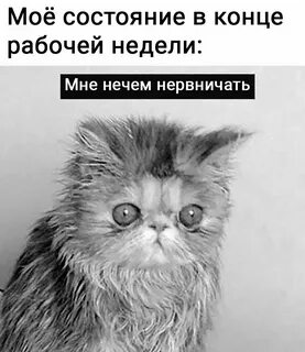 Мое состояние в конце года