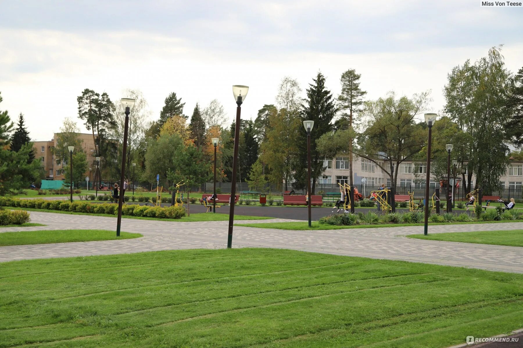 Деревня яковлевское новофедоровское поселение. Парк сосны москва. Парк сосны москва. Парк сосенки в царицыно. Парк в яковлевском киевское шоссе.